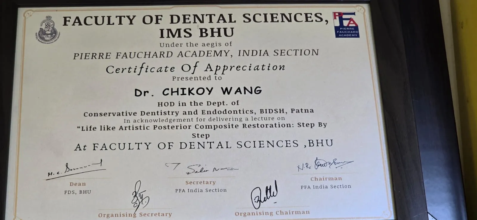 Expert Dentist